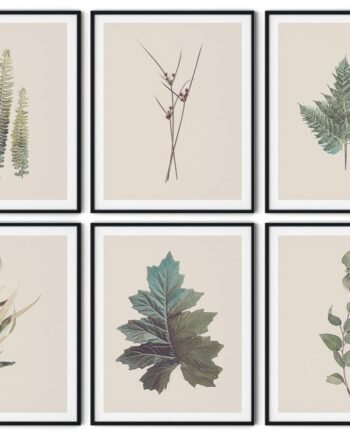 Vintage Leaves Framed Wall Art (Set of 6), Wall Frame