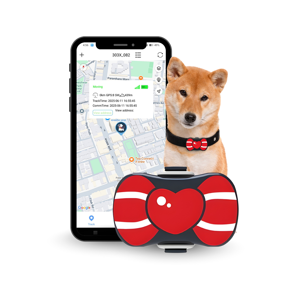 FeTaca PB1 Smart 4G GPS Waterproof Collar with Bow Tracker with 12months Free Tracking & App Subscription for Dogs and Cats (Red)