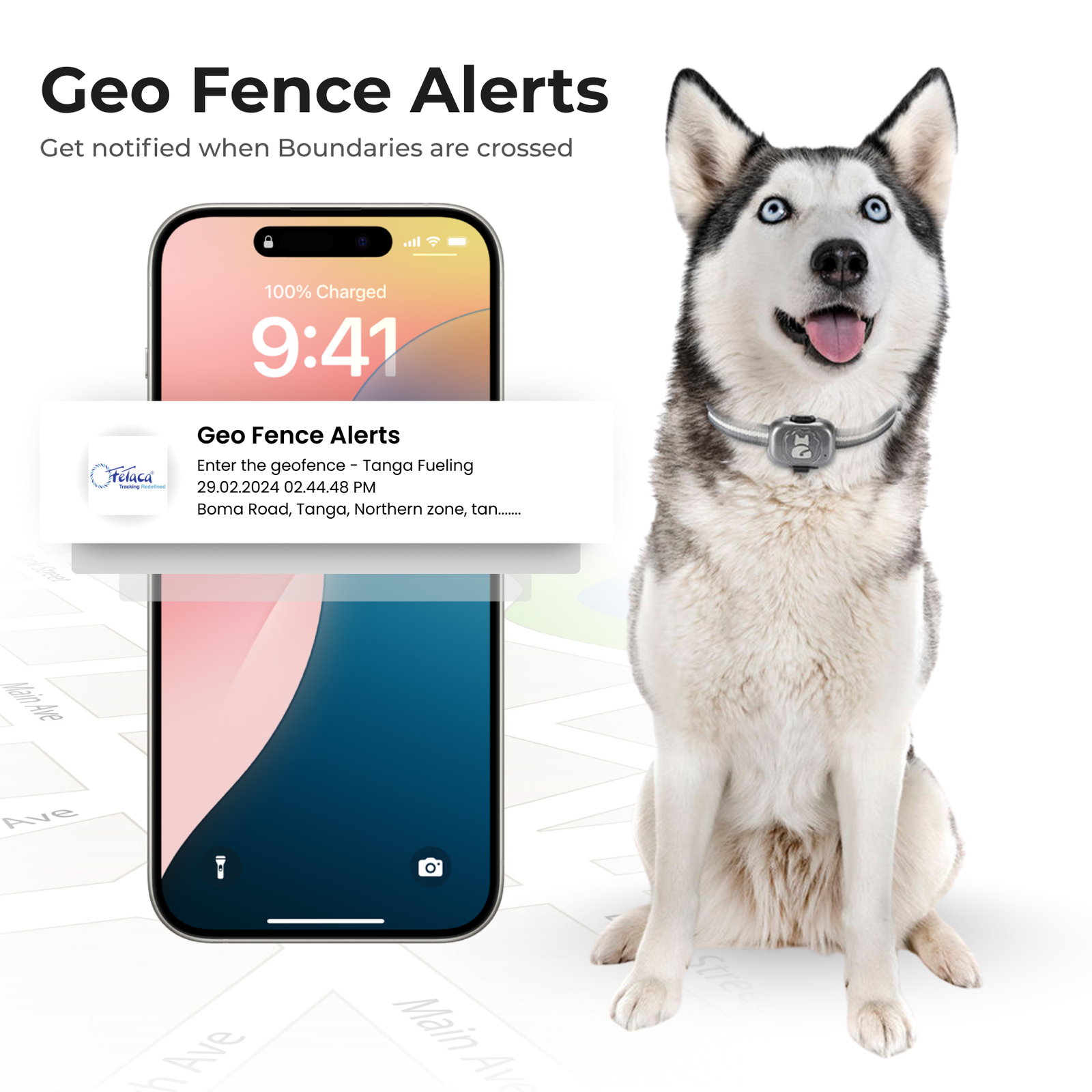 FeTaca G16 Smart 4G GPS Waterproof Mini Collar Tracker with Free Life Time Tracking & App Subscription for Dogs and Cats (Grey)