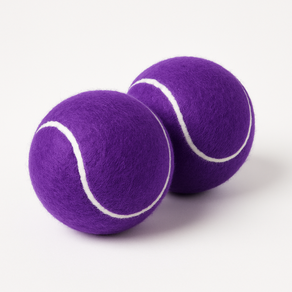 Talking Dog Club Tennis Ball Toy for Dogs (Purple)