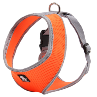 Truelove Harness for Cats and Small Dogs (Orange)