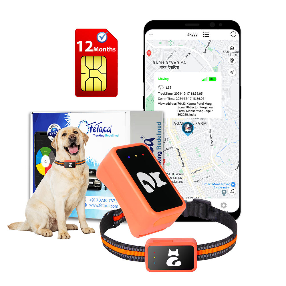 FeTaca Smart 4G GPS Tracker with Lifetime Free Tracking & 1 Year Data SIM Subscription for Dogs and Cats (Orange)