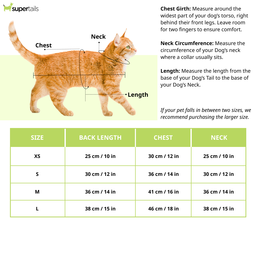 Pawsindia Traditional Royal Brocade Dress for Cats (Aqua Green)