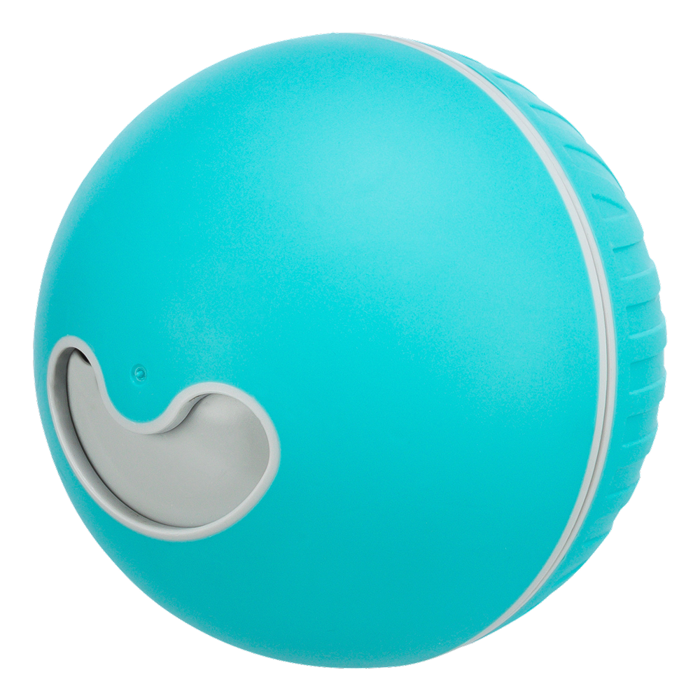 Trixie Plastic Snack Ball Treat Dispenser Toy for Dogs (Blue)