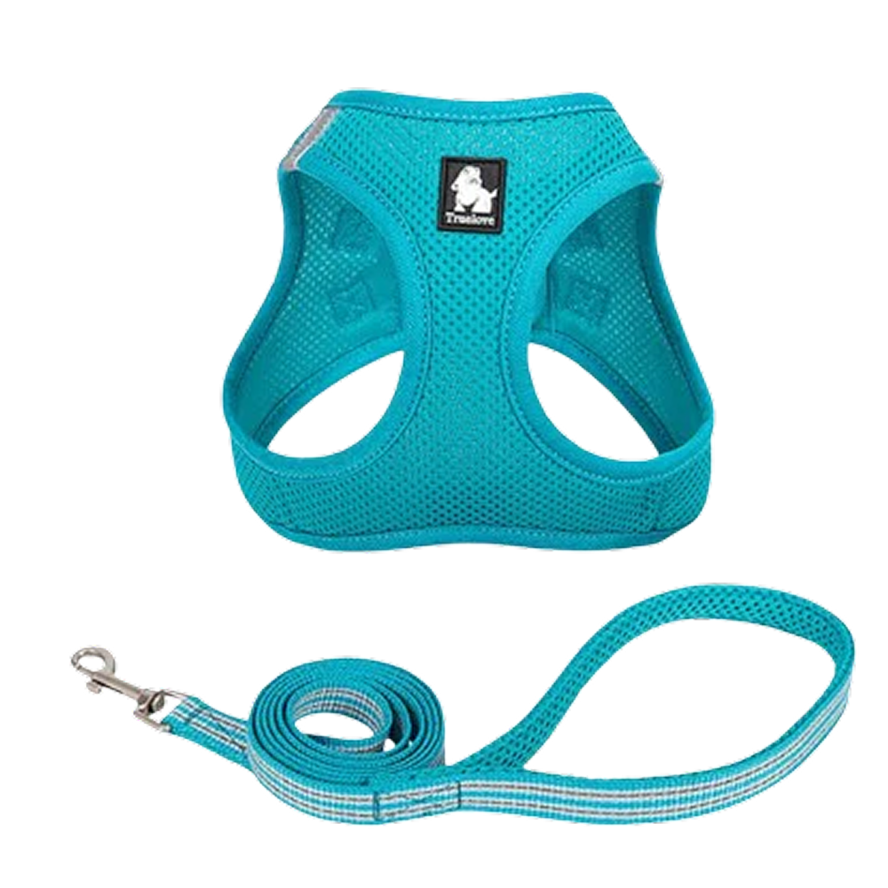 Truelove Mesh Harness & Leash Set for Cats and Small to Medium Dogs (Blue)