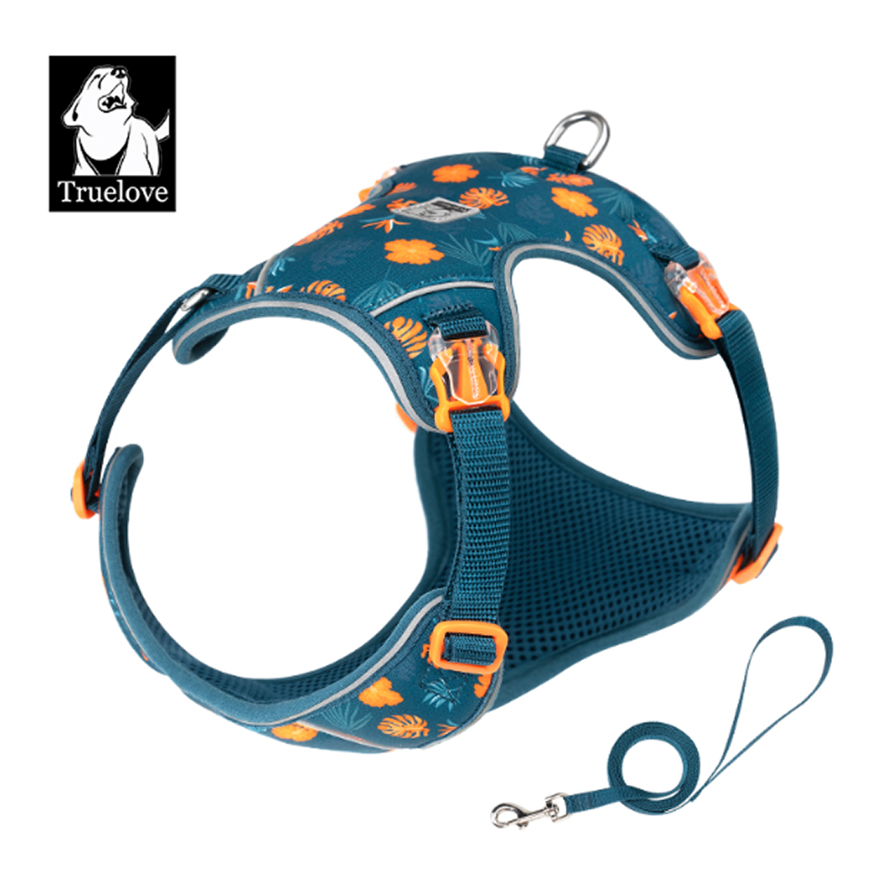 Truelove Ultra Light Harness & Leash Set for Small Dogs (Blue Coral)