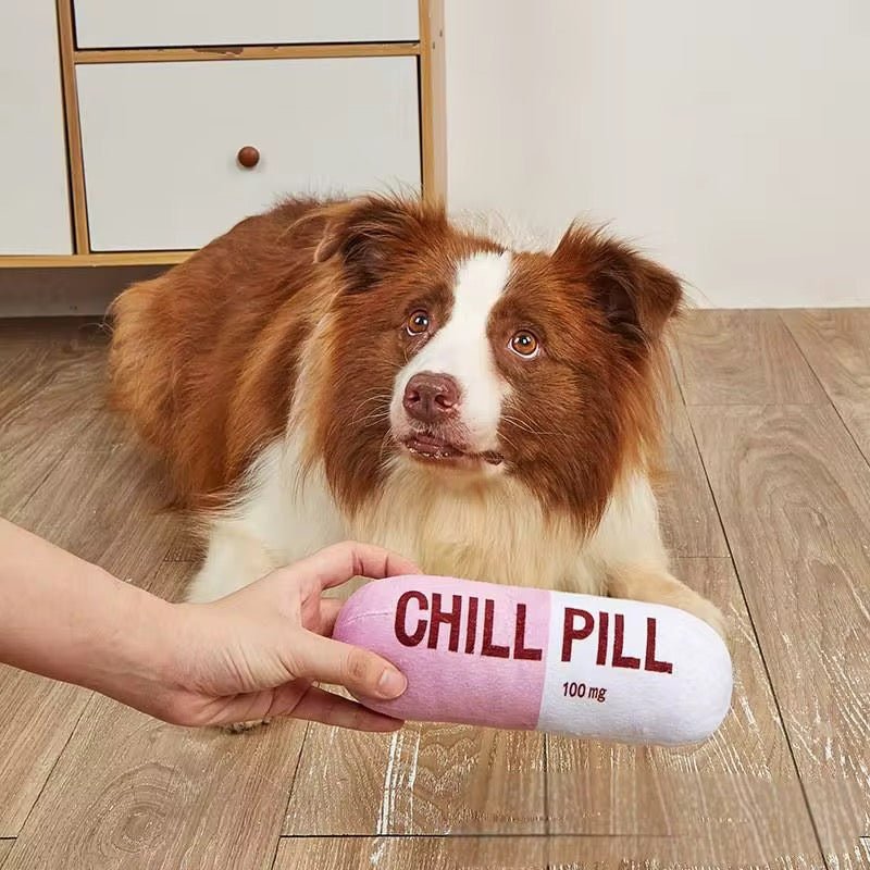 Talking Dog Chill Pill Plush Toy for Dogs (Pink)