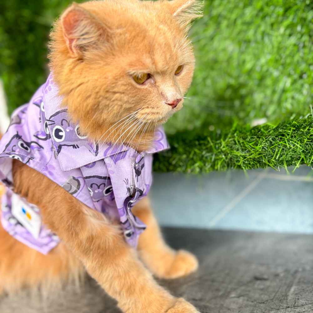 15 Furries Purple Meow Shirt for Cats (Purple)