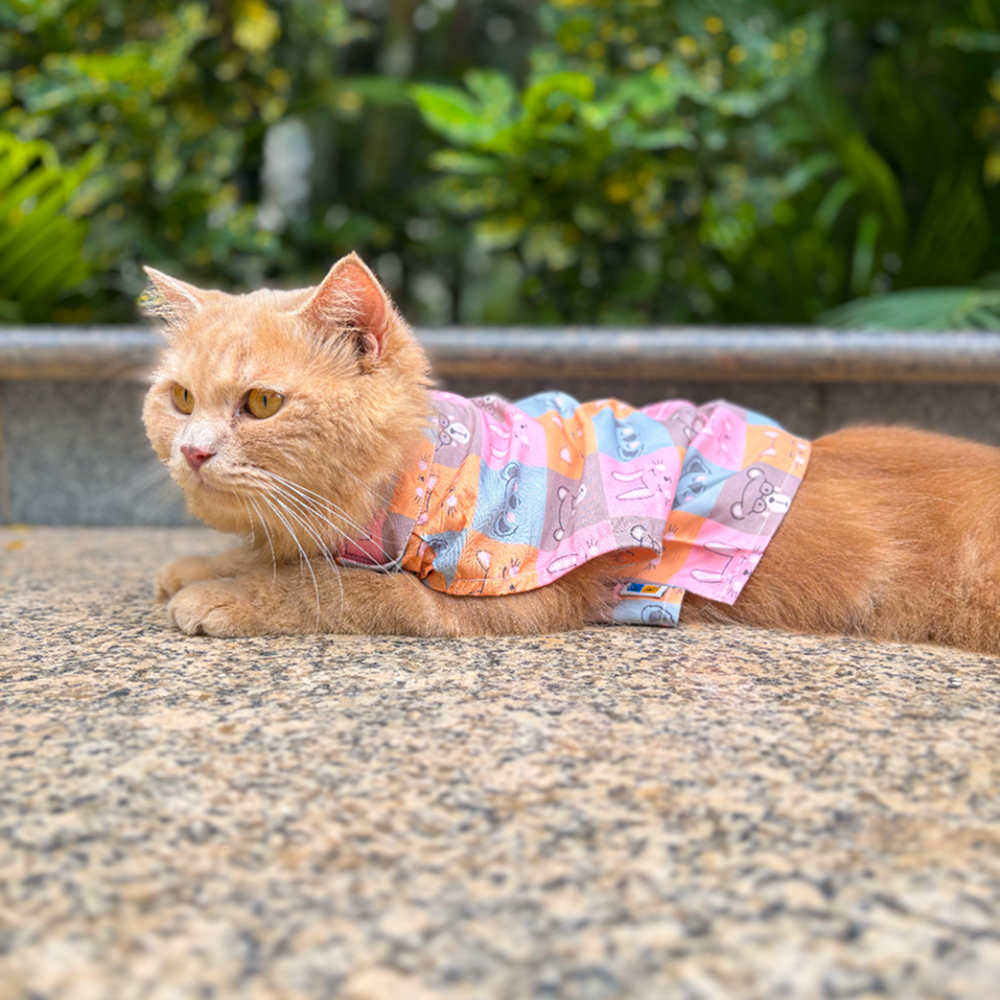 15 Furries Kitty Dreams Shirt for Cats (Multicolour)