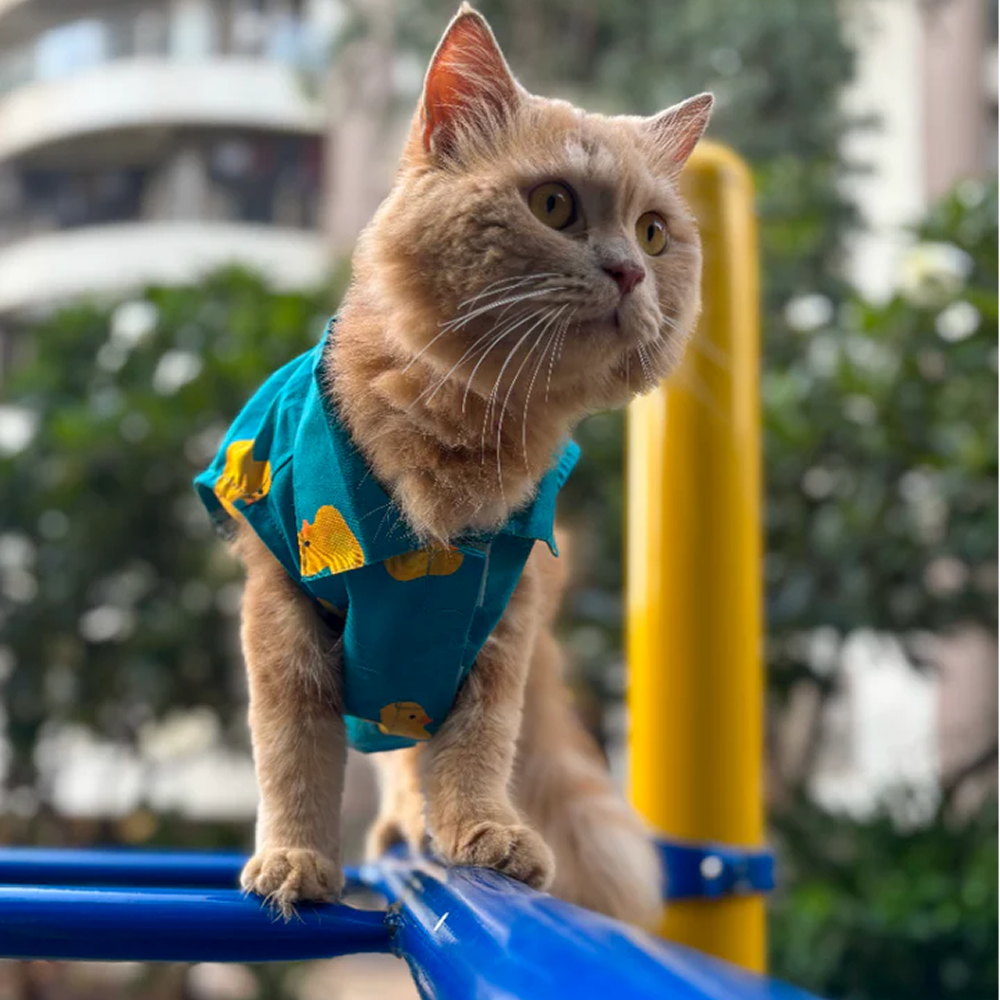 15 Furries Little Duckling Shirt for Cats (Green and yellow)