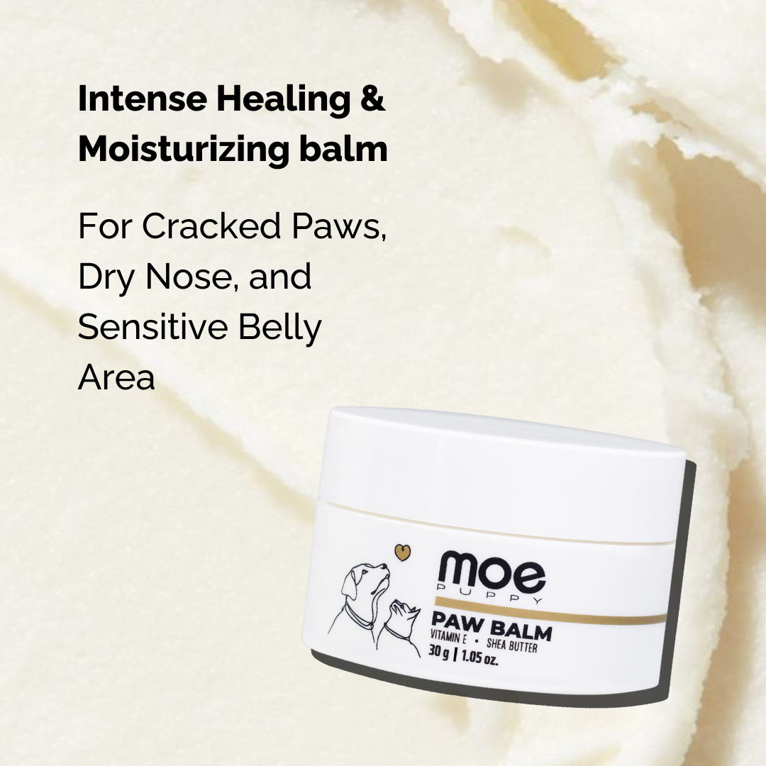 Moe Puppy Vitamin E Shea Butter Paw Cream for Dogs & Cats - Image 2