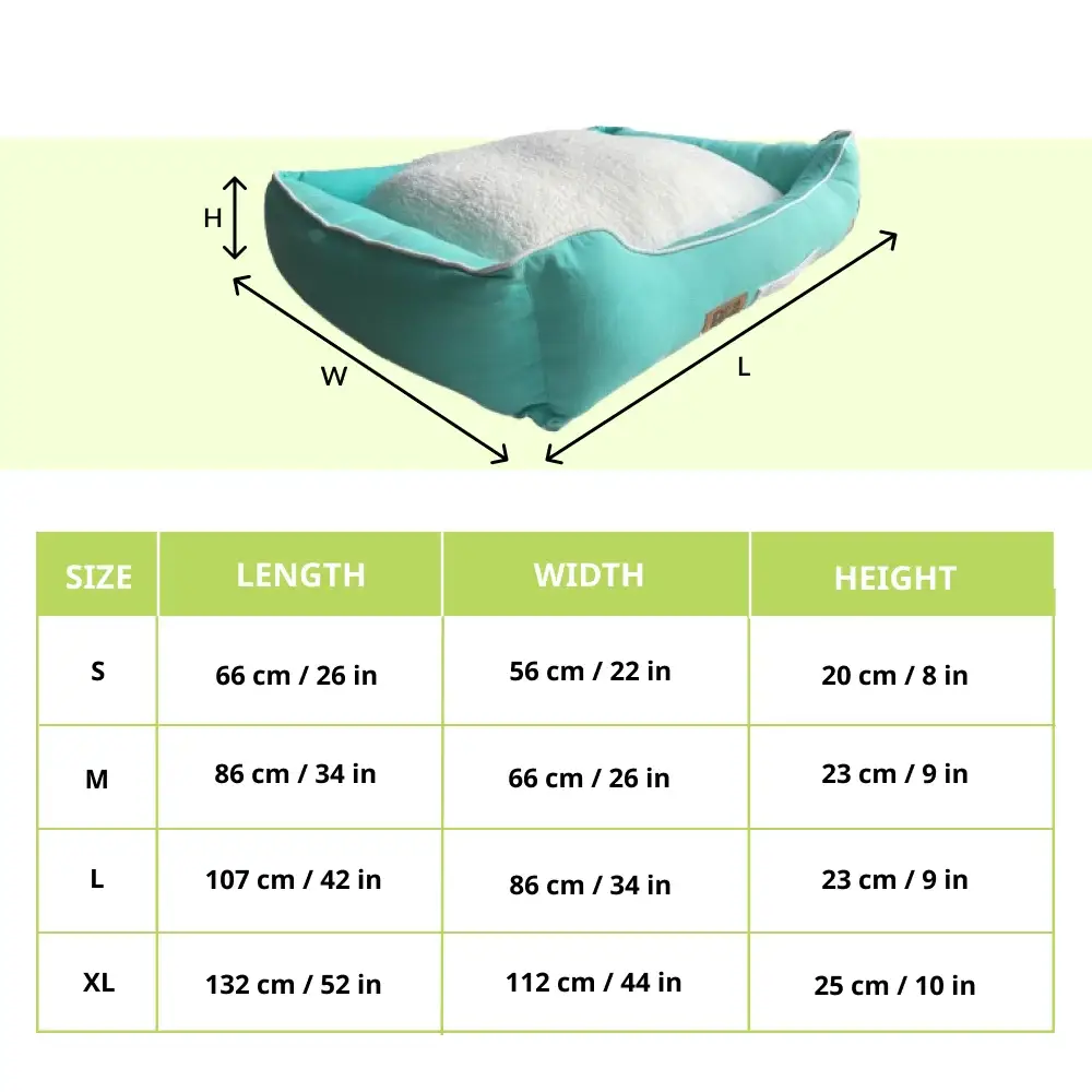 Petter World Ultra Luxury Cotton Canvas Lounger With Removable Sherpa Fur Cushion for Dogs (Turquoise)