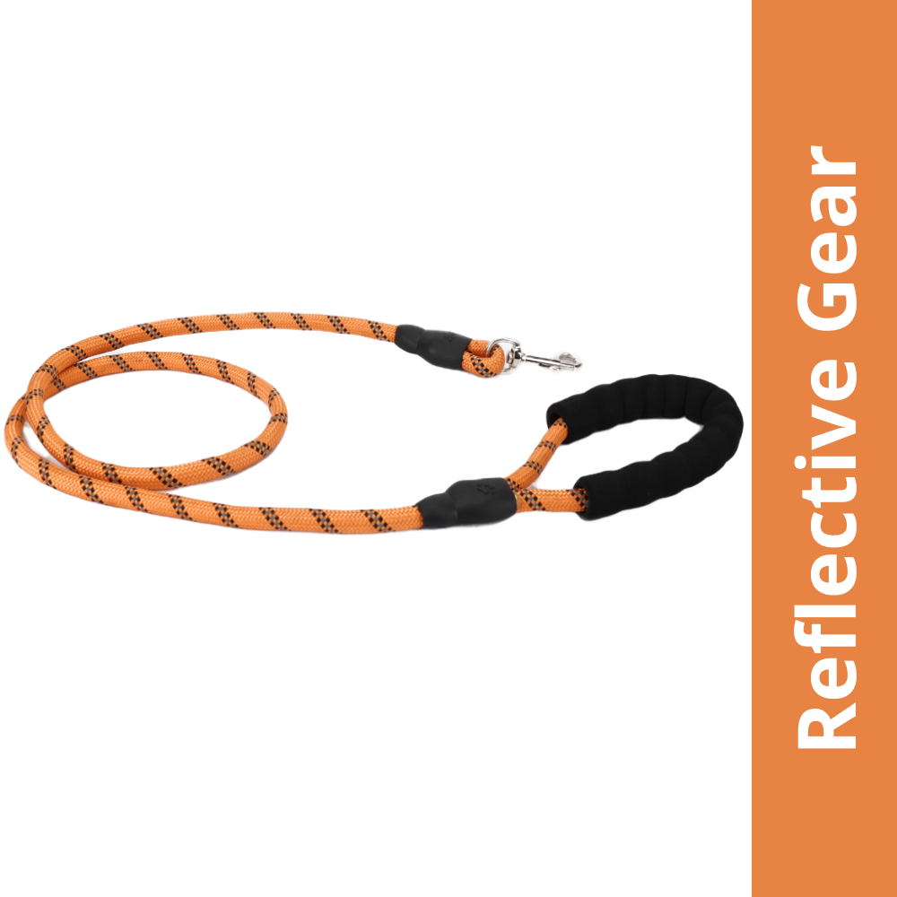 Skatrs Reflective Nylon Rope Leash for Dogs (Orange)