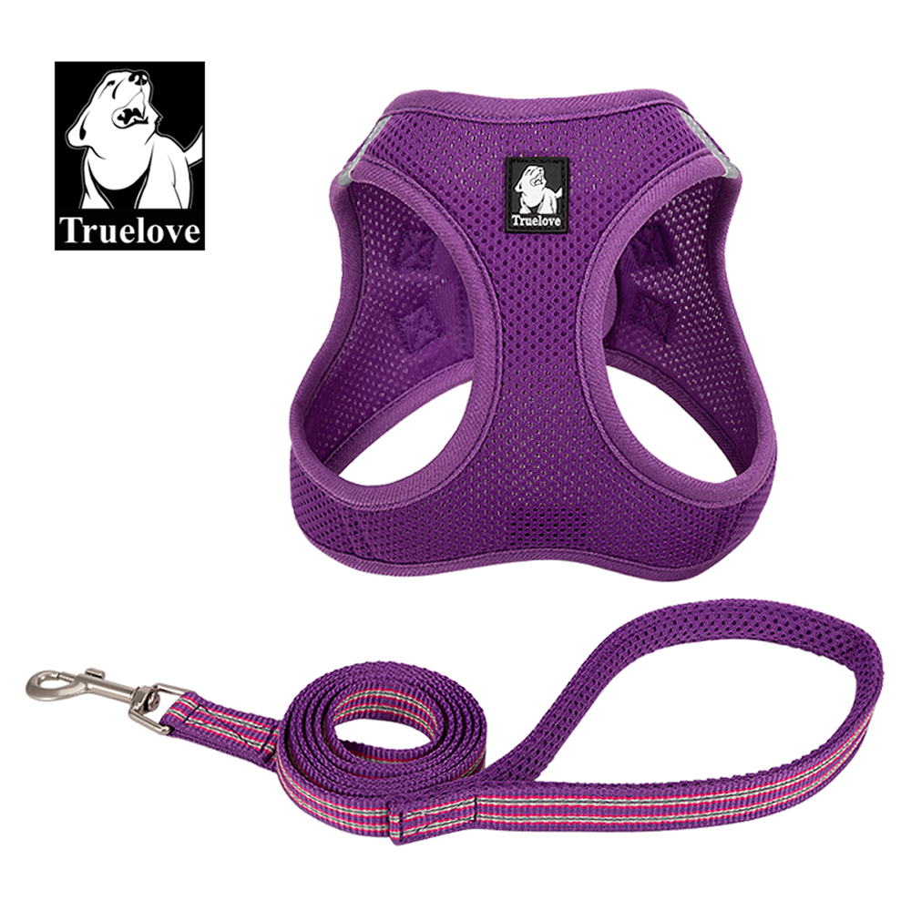 Truelove Mesh Harness & Leash Set for Cats and Small to Medium Dogs (Purple)