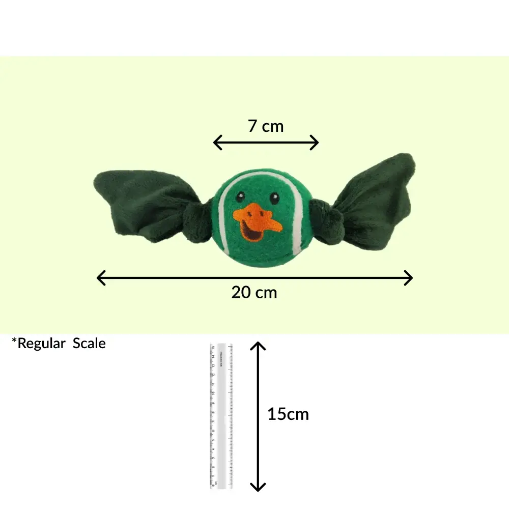Talking Dog Club Duck Ball with Wings Toy for Dogs (Green)
