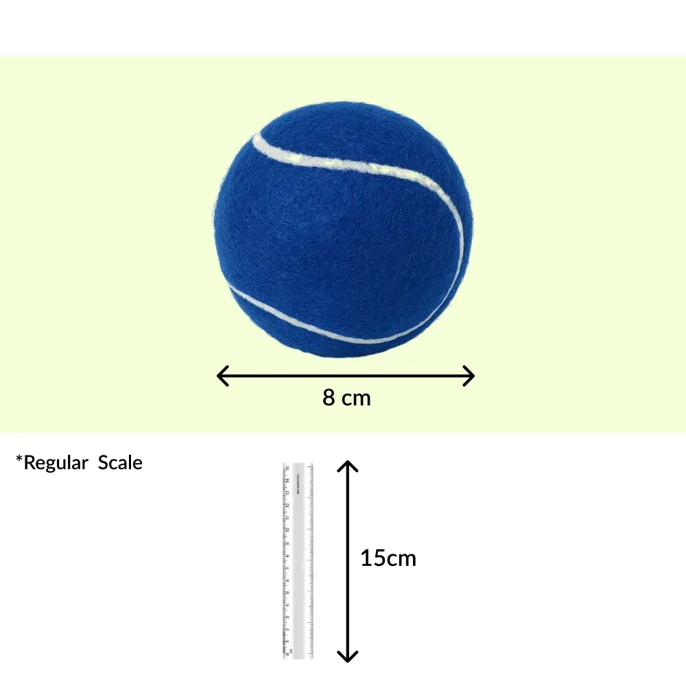Talking Dog Club Tennis Ball Toy for Dogs (Blue)