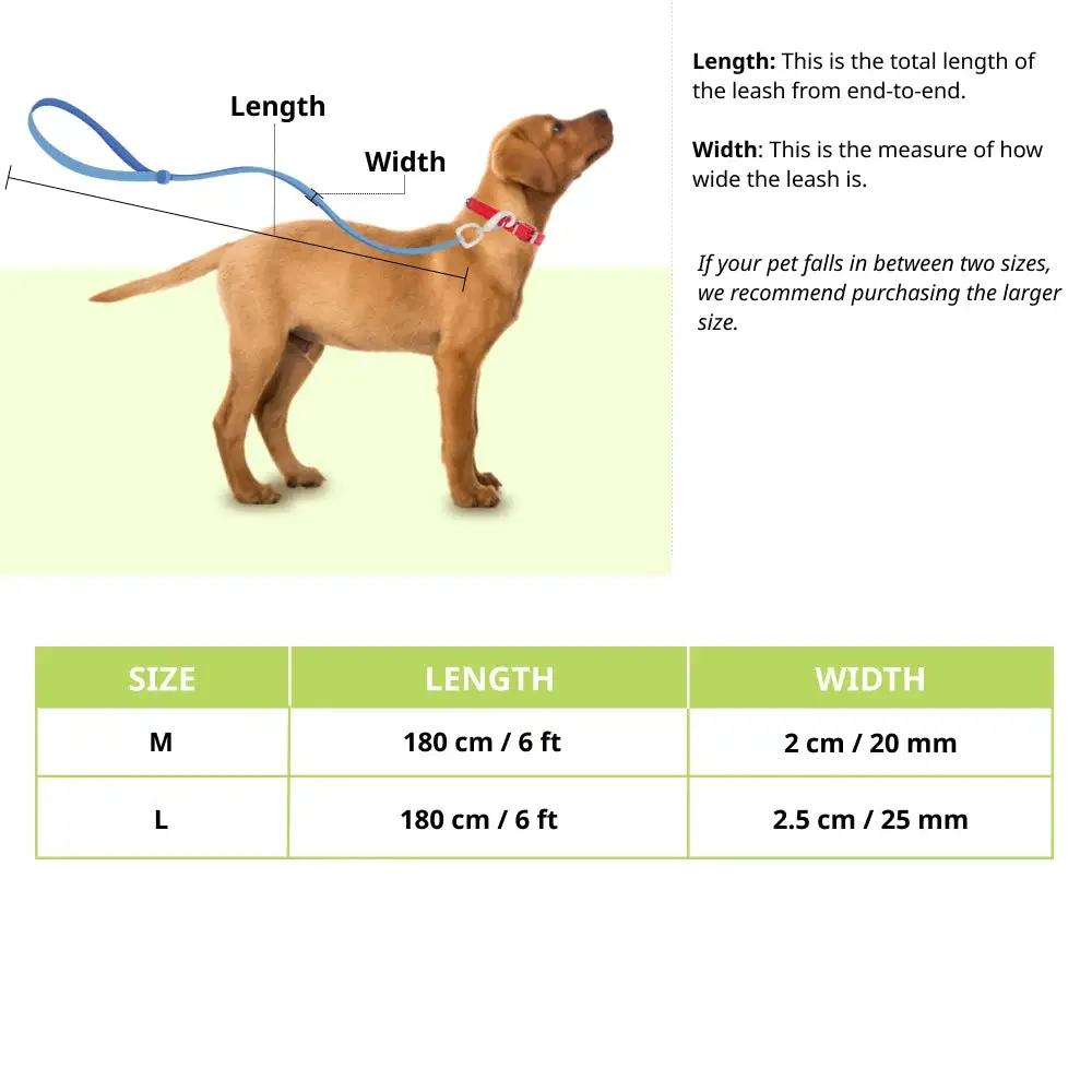 Warner Bros Batman Leash for Dogs and Cats