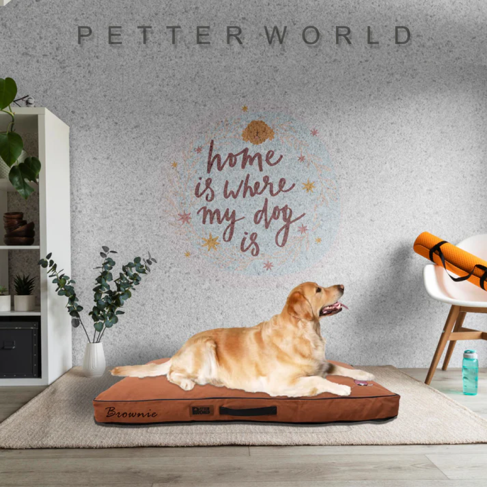 Petter World Comfort Flat Cushion Bed for Dogs (Earthy Brown) - Image 3