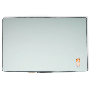 Petter World Comfort Flat Foam Bed for Dogs (Celeste Green)