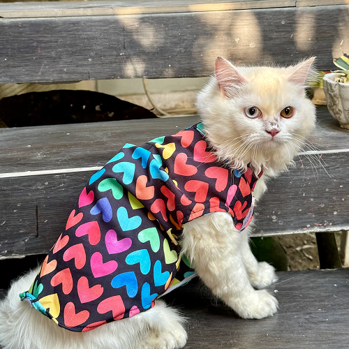 Pawgypets Multi Heart Sando for Cats (Multi Colour)