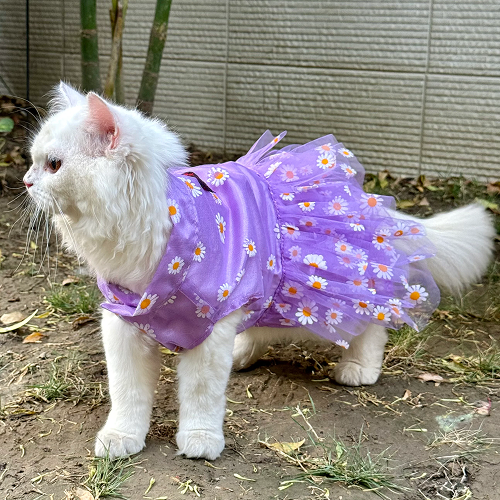 Pawgypets Frilly Dress for Cats (Purple)
