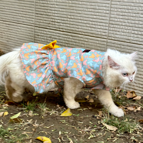 Pawgypets Mickey Overloaded Dress for Cats (Pastel Green)