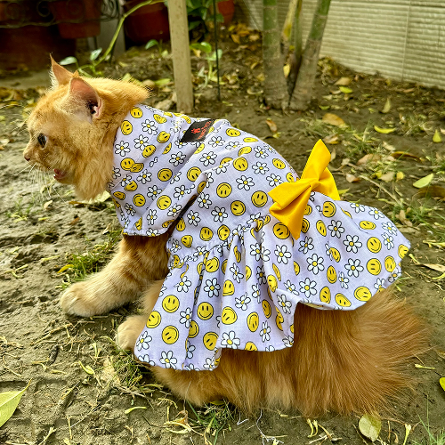 Pawgypets Smiley Daisy Dress for Cats (Lavender)