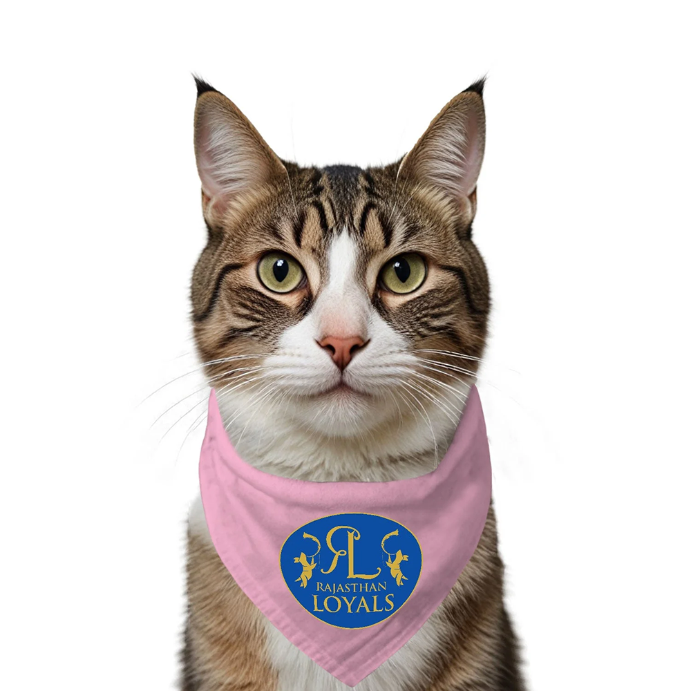 Ruse IPL Rajasthan Loyals Printed Bandana for Cats (Pink) | Indian Pet League