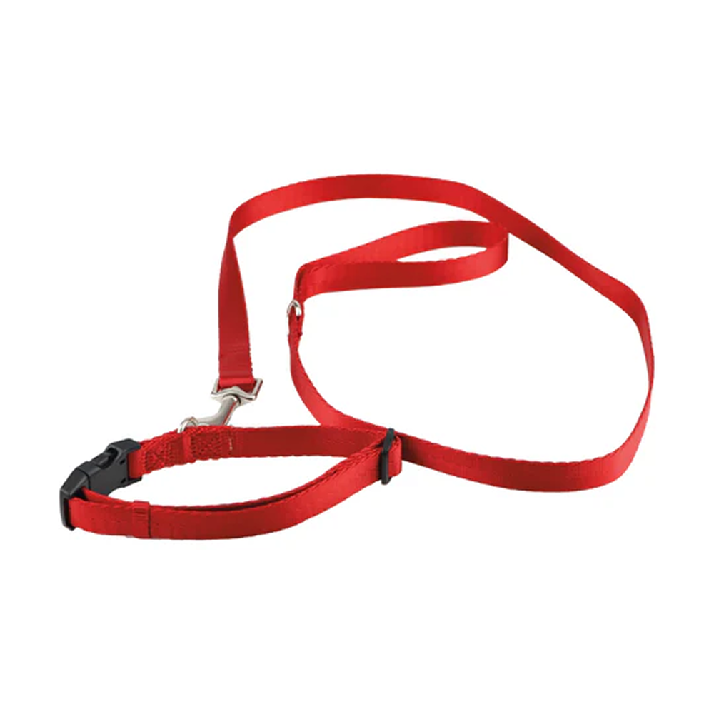 Pawpourri Nylon Webbing Leash & Collar for Cats & Dogs (Red)