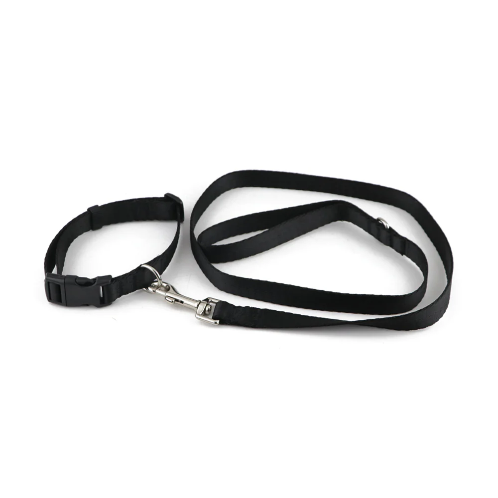 Pawpourri Nylon Webbing Leash & Collar for Cats & Dogs (Black)