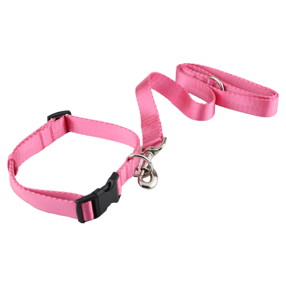Pawpourri Nylon Webbing Leash & Collar for Cats & Dogs (Pink)