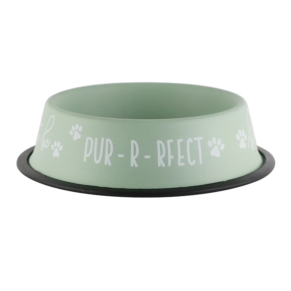 Pawpourri Purrrfect Printed Bowl for Dogs & Cats (Mint)