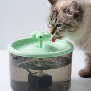 Skatrs Water Fountain for Dogs and Cats (Green)