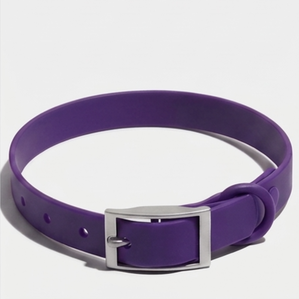 Skatrs Adjustable Collar for Dogs (Cosmic Purple)