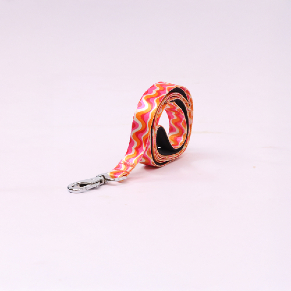 Skatrs Pop Groove Leash for Dogs