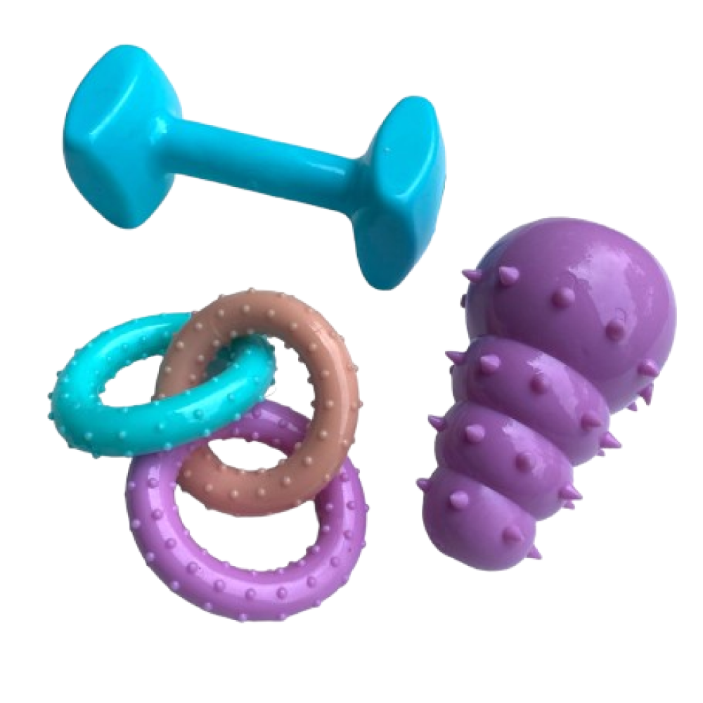 Talking Dog Club First Puppy Toy Set for Dogs (Multicolour)