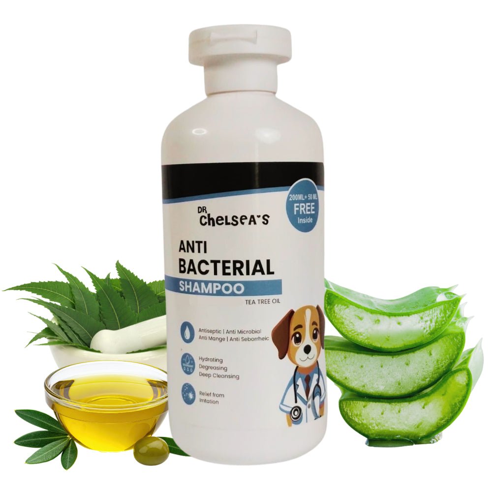 Dr. Chelsea’s Anti Bacterial Shampoo for Dogs & Cats