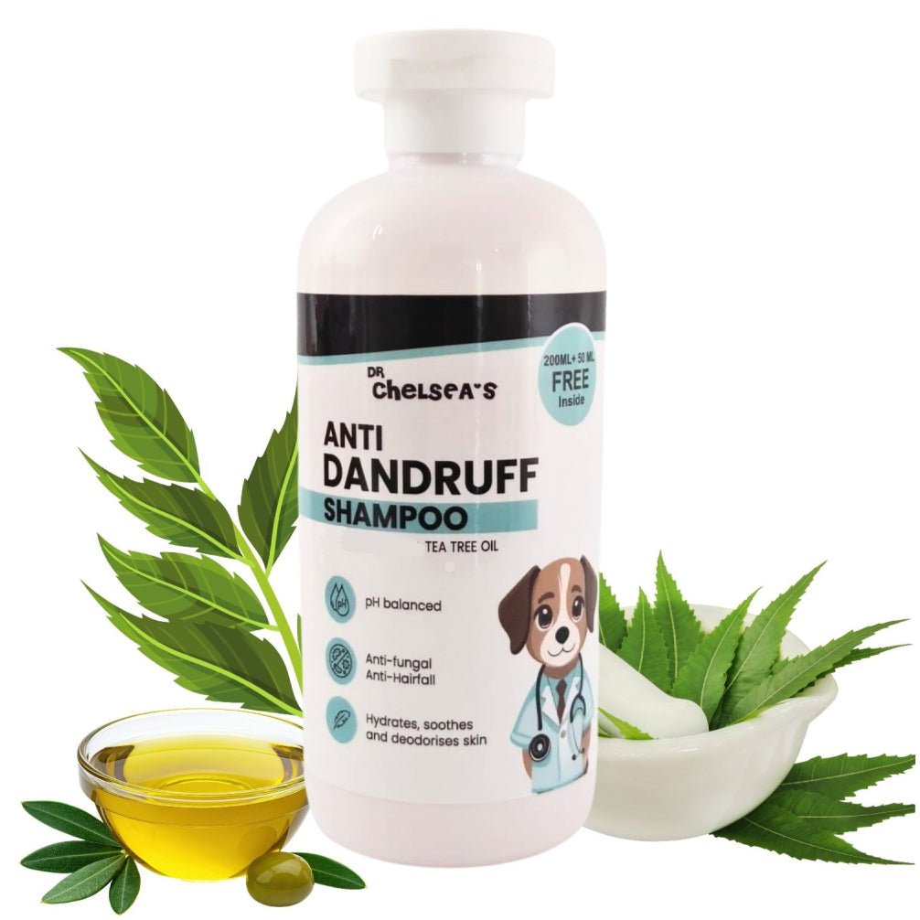 Dr. Chelsea’s Anti Dandruff Shampoo for Dogs & Cats