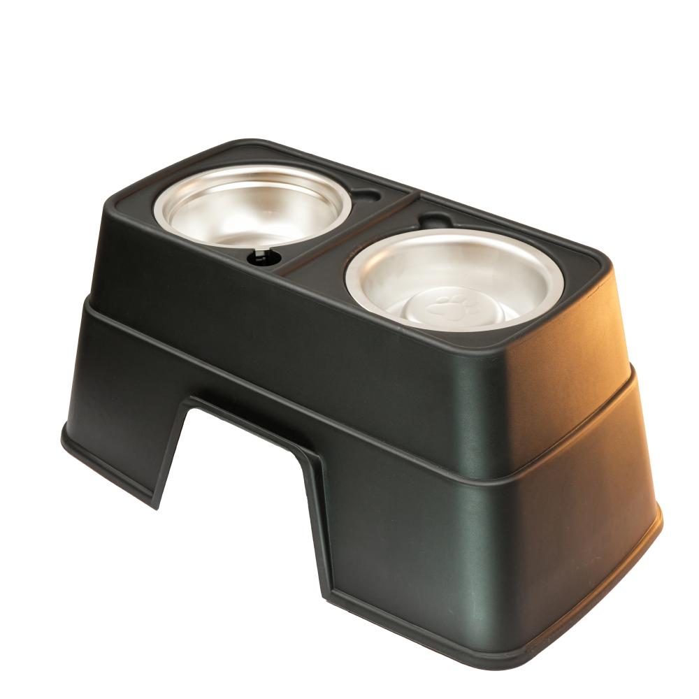 Skatrs Black & Bold Twin Bowl Raised Feeder for Dogs