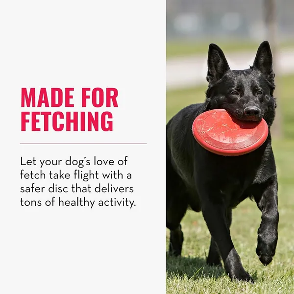 Kong Flyer Toy for Dogs (Red) - Image 4
