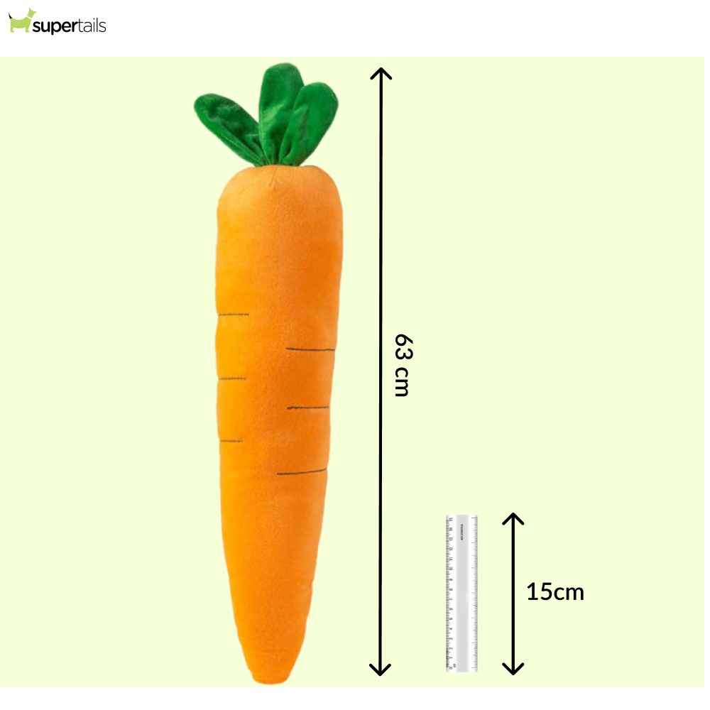 Talking Dog Club Extra Large Carrot Plush Toy for Dogs (Orange) - Image 2