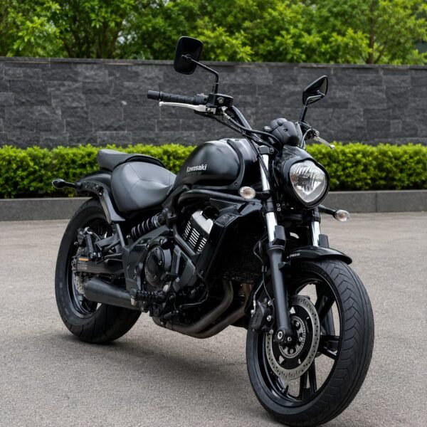Kawasaki Valcun 2019