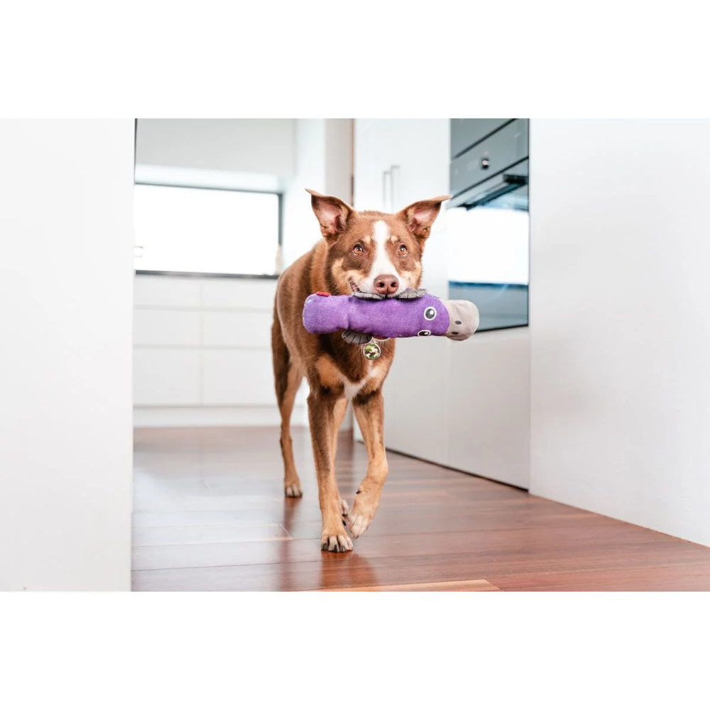 Red Dingo Durables Platypus Fetch Toy For Dogs (Purple) - Image 3