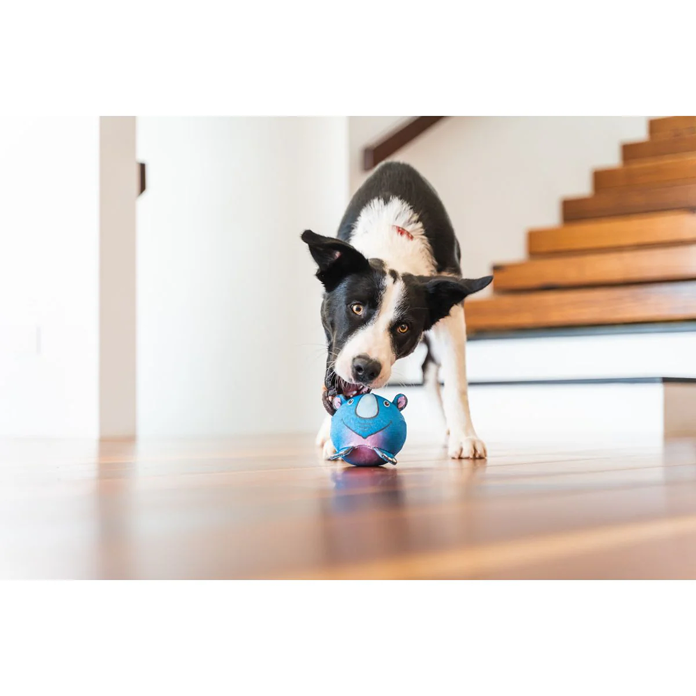 Red Dingo Durables Rhino Ball Toy For Dogs (Blue) - Image 3