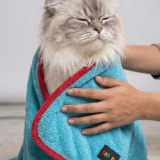 Skatrs Pet towel (Light Blue and Red)