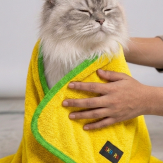 Skatrs Towel for Dogs and Cats (Yellow and Green)