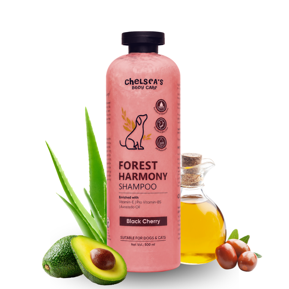 Dr. Chelsea's Forest Harmony Shampoo & Conditioner for Cats & Dogs