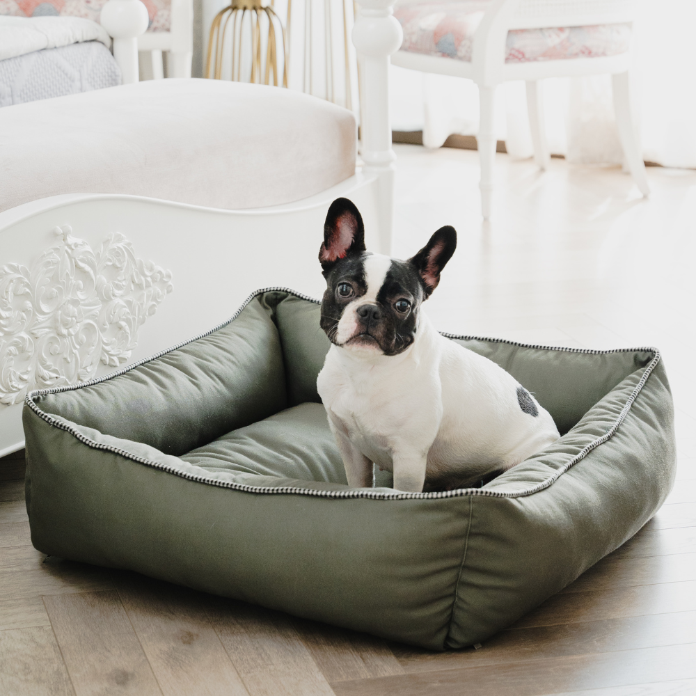 Pet Set Go The Olive Lounger for Dogs