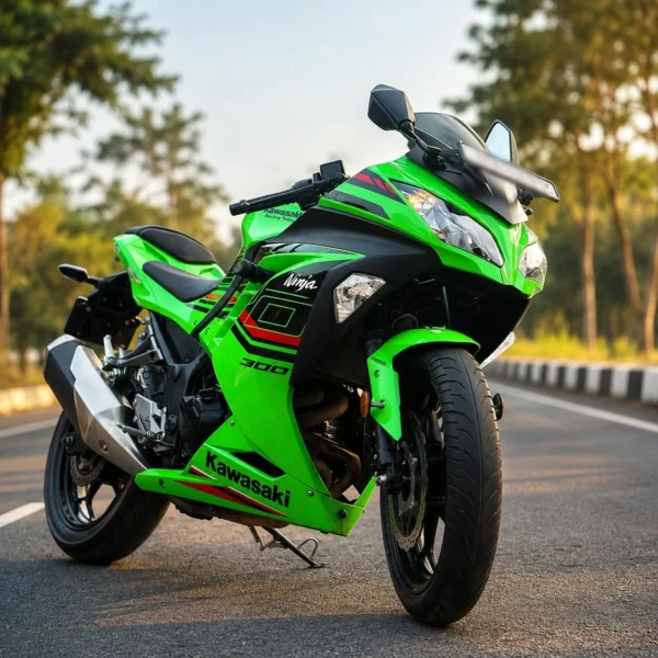 Kawasaki Ninja 300 2024