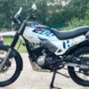 2023 Hero Xpulse 200 4V